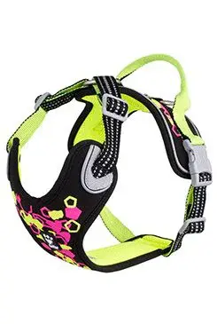 Postroj Hurtta Weekend Warrior neon II lékořicový 65-80