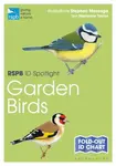 RSPB ID Spotlight â€“ Garden Birds - Taylor Marianne