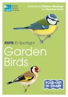 RSPB ID Spotlight â€“ Garden Birds - Taylor Marianne