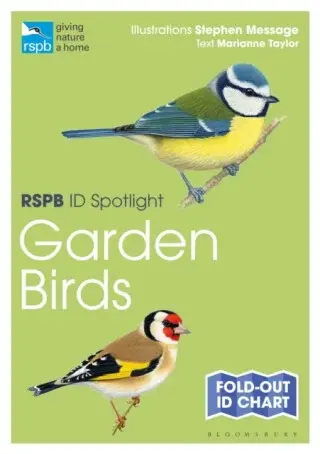 RSPB ID Spotlight â€“ Garden Birds - Taylor Marianne