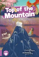 Top of the Mountain - Shalini Vallepur
