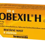 DOBEXIL H ung 40mg/20mg rektální mast 20 g