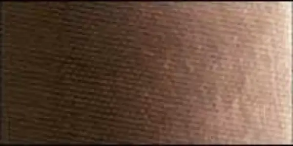 Olejová barva Old Holland 40ml – 346 Mars Brown