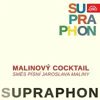 Sláva Kunst se svým orchestrem – Malinový cocktail. Směs písní Jaroslava Maliny