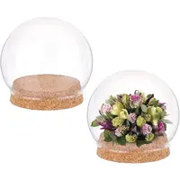 2 Sets High Borosilicate Glass Dome Cover