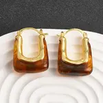 Brass Resin Hoop Earrings