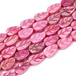 Natural Freshwater Shell Carved Beads Strands