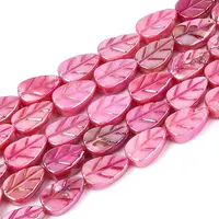 Natural Freshwater Shell Carved Beads Strands