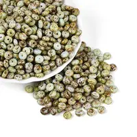 Picasso Glass Seed Beads