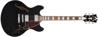 D'Angelico Premier DC Black (použité)