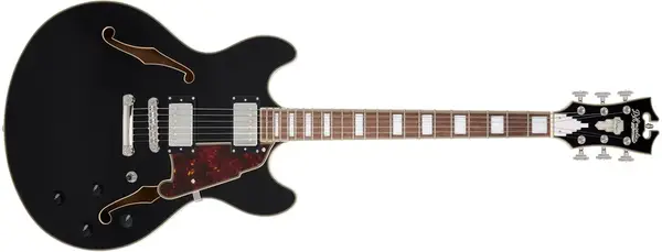 D'Angelico Premier DC Black (použité)
