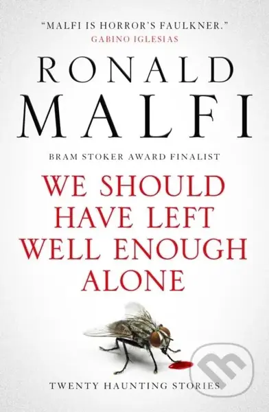 We Should Have Left Well Enough Alone - Ronald Malfi - kniha z kategorie Horory