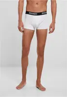 Pánské boxerky Logo 2 Pack bílé/bílé