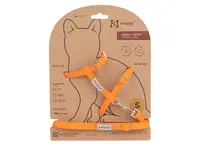 Amiplay Kšíry pro kočku s vodítkem Samba Oranžové | Postroje pro kočku - S