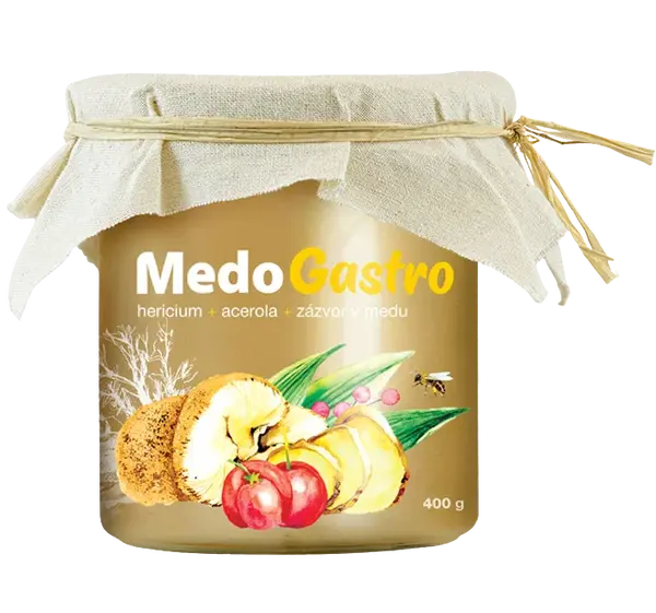 MYCOMEDICA MedoGastro 400 g