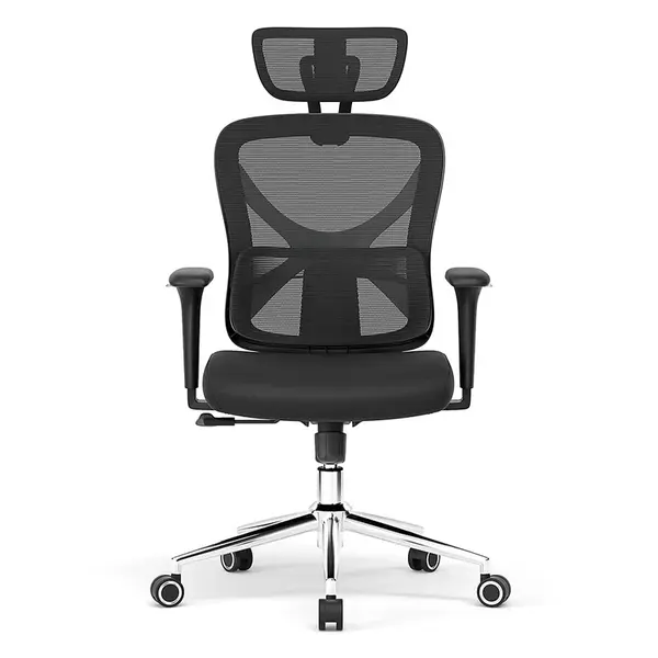 ACGAM CG-5345M Ergonomic Office Chair