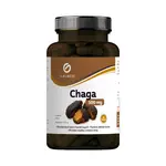 Chaga 500mg 90 kapslí Galmed