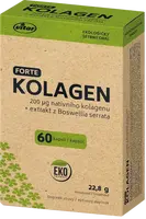 VITAR Kolagen Forte EKO 60 kapslí