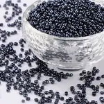 12/0 Glass Seed Beads