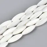 Natural Trochid Shell/Trochus Shell Beads Strands