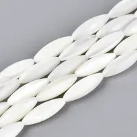 Natural Trochid Shell/Trochus Shell Beads Strands