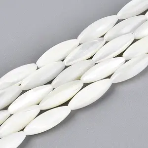 Natural Trochid Shell/Trochus Shell Beads Strands