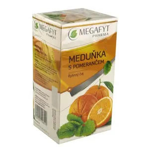 MEGAFYT Ovocný Meduňka s pomerančem 20x2 g