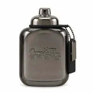 Coach Pure Platinum čistý parfém pro muže 100 ml