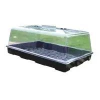 Minipařeniště STREND PRO Herrison P2007