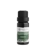 NOBILIS TILIA Éterický olej Borovice 10 ml