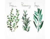 Obraz na plátne Bylinky, 28x28 cm%