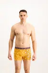 Pánske boxerky Frogies Zodiac Lev