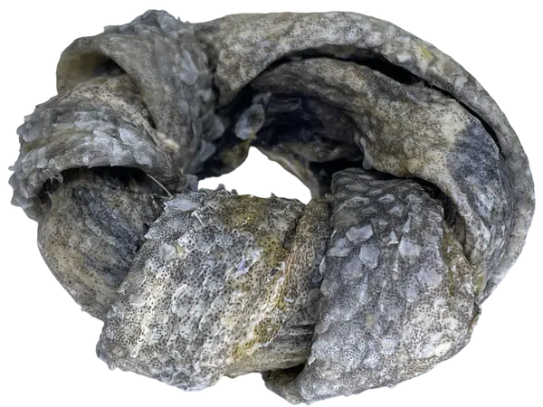 LK Baits Pet Luxusní Věneček z Kůže Tresky,20g