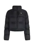 Calvin Klein Jeans Prechodná bunda 'ESSENTIAL'  čierna