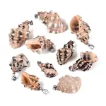 Brass & Natural Spiral Shell Pendants