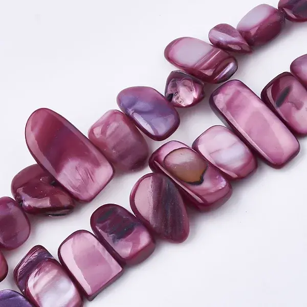 Freshwater Shell Beads Strands