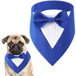 Polyester Pet Handkerchi