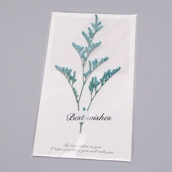 Paper Cards