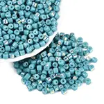 FGB Opaque Colours Glass Seed Beads