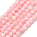 Dyed Natural Freshwater Shell Beads Strands
