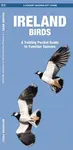 Ireland Birds, 2nd Ed - Waterford Press, James Kavanagh