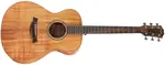 Taylor JCSM-6 Jacob Collier (rozbalené)