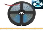 LED pásek 12V IP20 48W bílá studená 5m LTC LXL5122