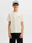 Jack & Jones Junior Tričko 'JORNORREBRO'  tmavofialová / biela
