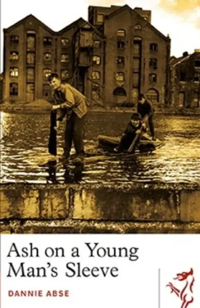 Ash on a Young Man's Sleeve - Dannie Abse