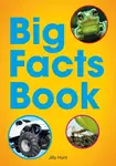 Striders Phonics Readers Set 08: The Big Six Get Artistic - Jilly Hunt