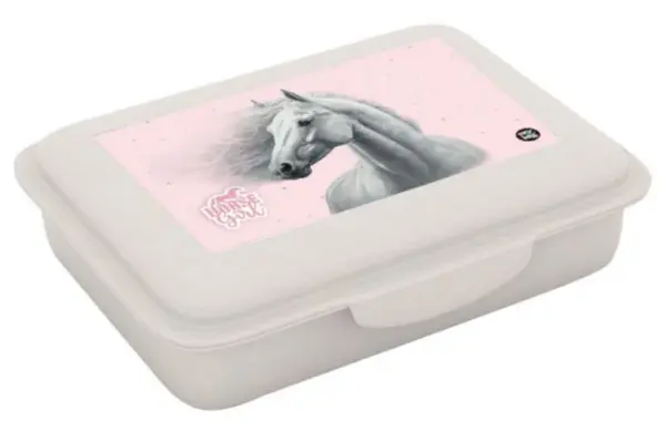 Box na svačinu s přihrádkou, kůň romatic