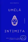 Umělá intimita - David Černý