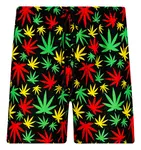 Pánské koupací kraťasy Frogies Mr. Green