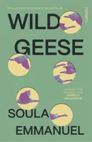 Wild Geese - Soula Emmanuel